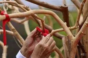 nouvel an chinois ruban rouge