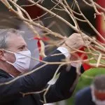 nouvel an chinois villa