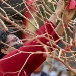 nouvel an chinois département.