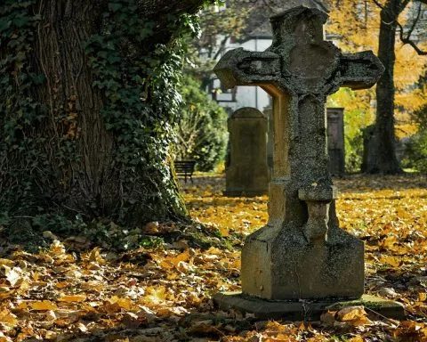 Insee La Réunion-Mayotte