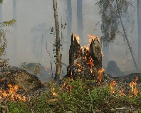 Un incendie en cours à St Louis face au karting.