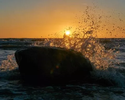 Une semaine sous le signe de la houle australe !