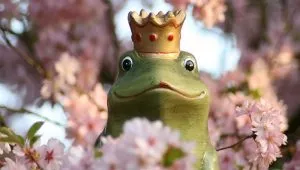 Cet habitant de Roubaix, d’origine indienne, découvre qu'il serait un… prince héritier