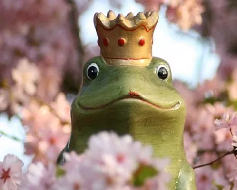 Cet habitant de Roubaix, d’origine indienne, découvre qu'il serait un… prince héritier