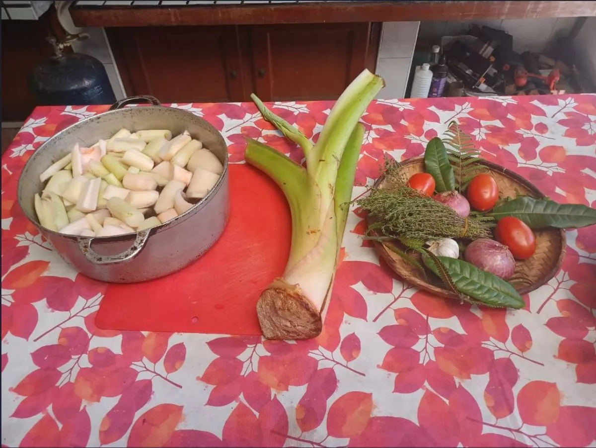 Songe Kozman derriere la cuisine Olivia FREEDOM OFFICIEL