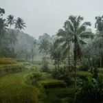 Vigilance jaune fortes pluies sur le nord, l&rsquo;ouest et l’Est de La Réunion