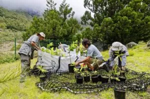 "Ilet Marla Dann Ker" Semaine d'animation à Mafate, Parc national de la Réunion